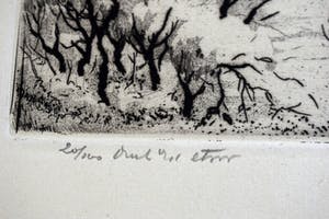 Hans van Dokkum - Gespiesde skul in een winters polderlandschap kopen? Bied vanaf 50!