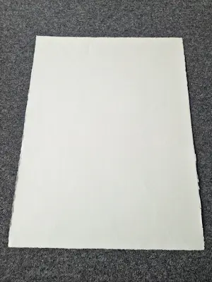 Jörg Remé - Originele 1979 kleuren Lithografie "dame en havik" - beperkte oplage (100) kopen? Bied vanaf 48!