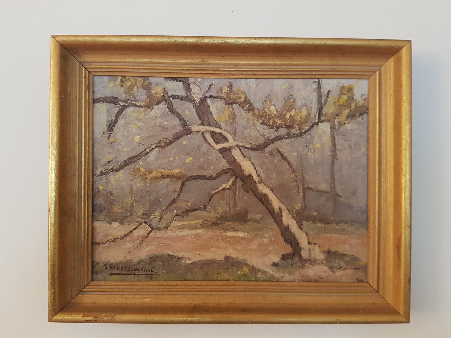 Auguste J.H. Van Steenacker (1890-1965)