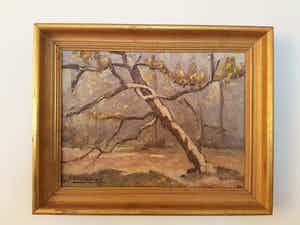 Auguste J.H. Van Steenacker - Besneeuwde boom verkocht voor € 35!