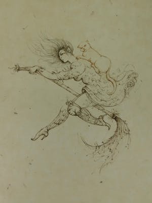Leonor Fini - La Sorcière sur le Balai kopen? Bied vanaf 40!