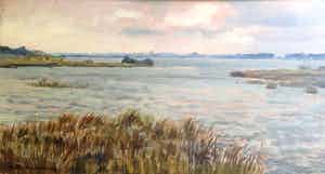Martin van Waning - B814A - Schiermonnikoog "Belterwiede" bij Wannerperveen verkocht voor € 150!