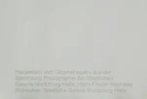 Hans Finsler - FASCHINGSSTOFF II Original-Fotografie von 1928 kopen? Bied vanaf 95!