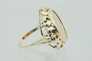 84 - Grote 14krt geel gouden ring met 5 gulden Wilhelmina (naslag) munt kopen? Bied vanaf 290!
