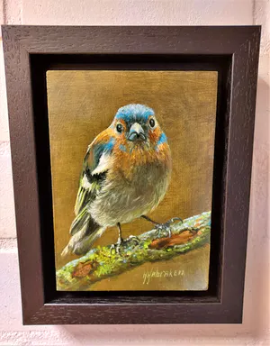 Hans Habraken - Vink op tak kopen? Bied vanaf 175!