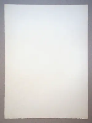 Walter Sauer - Portret van Nicole - 1930 - Heliogravure, gesigneerd en gedateerd kopen? Bied vanaf 100!