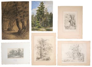 Niet of onleesbaar gesigneerd - Diverse (houtskool)tekeningen en een aquarel van Bomen kopen? Bied vanaf 1!