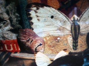 Wijnand van Lieshout - Walk on the wild side -1993- kopen? Bied vanaf 55!