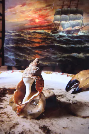 Rommert Boonstra - Fotocollage op papier, Z.T. (Strand-stilleven) - Ingelijst kopen? Bied vanaf 40!