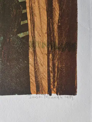 Joost Minnigh - Rotterdams graficus en beeldend kunstenaar - grote kleuren Litho - bep.oplage kopen? Bied vanaf 65!