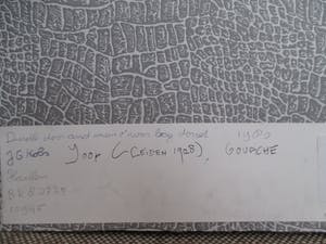 Joop Kobs - Durdle Door and Man O'War Bay Dorset. kopen? Bied vanaf 95!