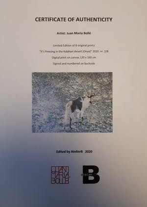 Juan Maria Bollé - It's freezing in the Kalahari desert (Onyx) kopen? Bied vanaf 550!