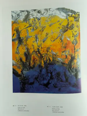 Zao Wou-Ki - Livre d'art - La quête du silence kopen? Bied vanaf 50!