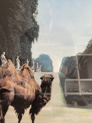 Carel Willink - Mooie grote zeefdruk kopen? Bied vanaf 225!