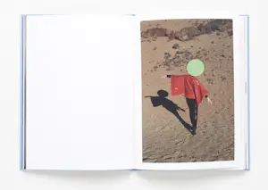 Buy Viviane Sassen - ROXANE (signed)? Bid from 235!