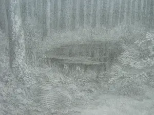 Simon Moulijn - BOSCHGEZICHT kopen? Bied vanaf 30!