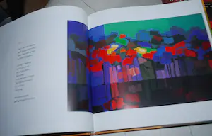 Ton Schulten - 2 boeken, uit 2000 en 2011 - 1x handgesigneerd kopen? Bied vanaf 25!