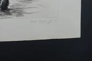 Dick Stolwijk - BUFFEL kopen? Bied vanaf 60!