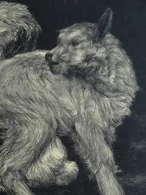 Dirk Homberg - 3x Litho , “Geitjes” – ca 1935 kopen? Bied vanaf 25!