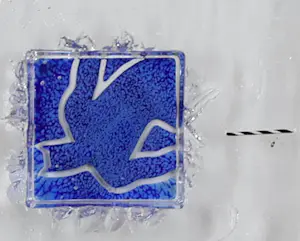 Bertil Vallien - Swimmers kopen? Bied vanaf 200!