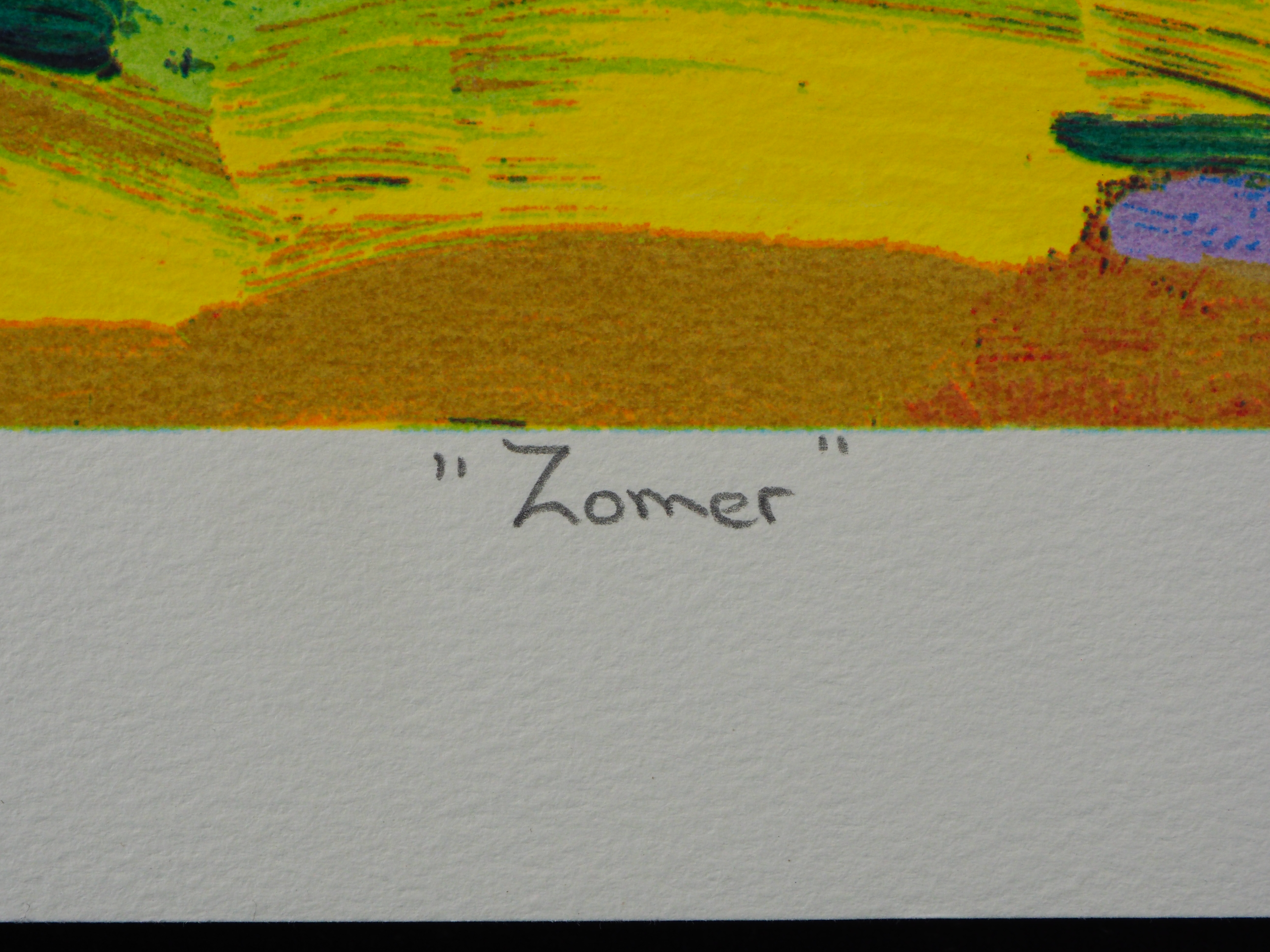 Jentsje Popma - Zomer kopen? Bied vanaf 60!