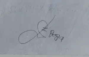 Franscz Witte - mooi abstract landschappelijk werk kopen? Bied vanaf 75!