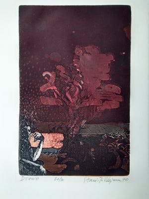 Stanislaw Wejman - druwo kopen? Bied vanaf 80!