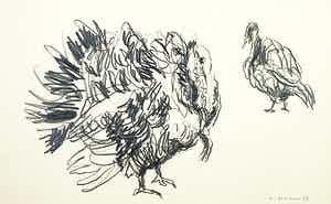 Hans Bekkers - Houtskool, z.t. Vogels verkocht voor € 35!