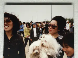Henk Schiffmacher - Gesigneerde foto op dibond “Vrouw met Honden” + gesigneerd fotoboek kopen? Bied vanaf 150!