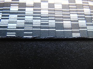 Steven van der Kruit - TV I. kopen? Bied vanaf 75!