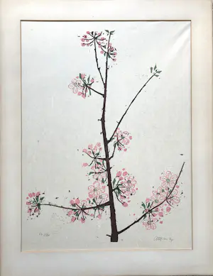 Akke Sins - bloesem (1969) kopen? Bied vanaf 60!