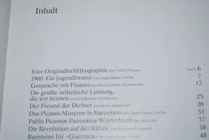 Pablo Picasso - Kunstboek met kleurenlitho kopen? Bied vanaf 125!