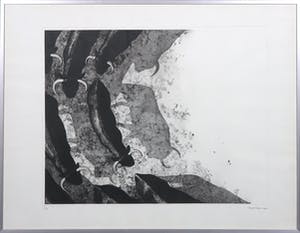 Rene Polak - Ets en aquatint, Kudde stieren I - Ingelijst kopen? Bied vanaf 1!