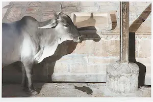 Mark Verdoes - Giclée, India 4 - Ingelijst kopen? Bied vanaf 1!