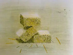 Arthur Stam - 3 vroege etsen kopen? Bied vanaf 70!