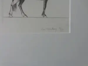 Aat Verhoog - VIER RUITERS TE PAARD / 4x ZW-W ETS / 67x50cm / KADER / SIG kopen? Bied vanaf 25!