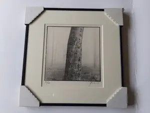 Ralph Janowski - 3 computerprints, van Ralph Janowski, Boom in de ochtend mist kopen? Bied vanaf 120!