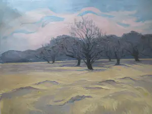 Henri van der Waals - Veluwe Zandverstuiving 1975 kopen? Bied vanaf 150!