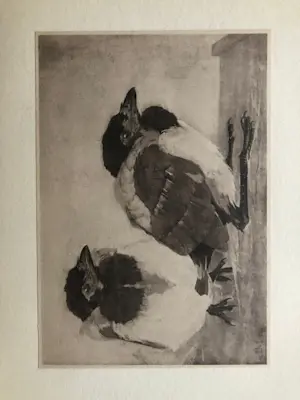 Jan Mankes - Oeuvre Boek uit 1928 kopen? Bied vanaf 425!