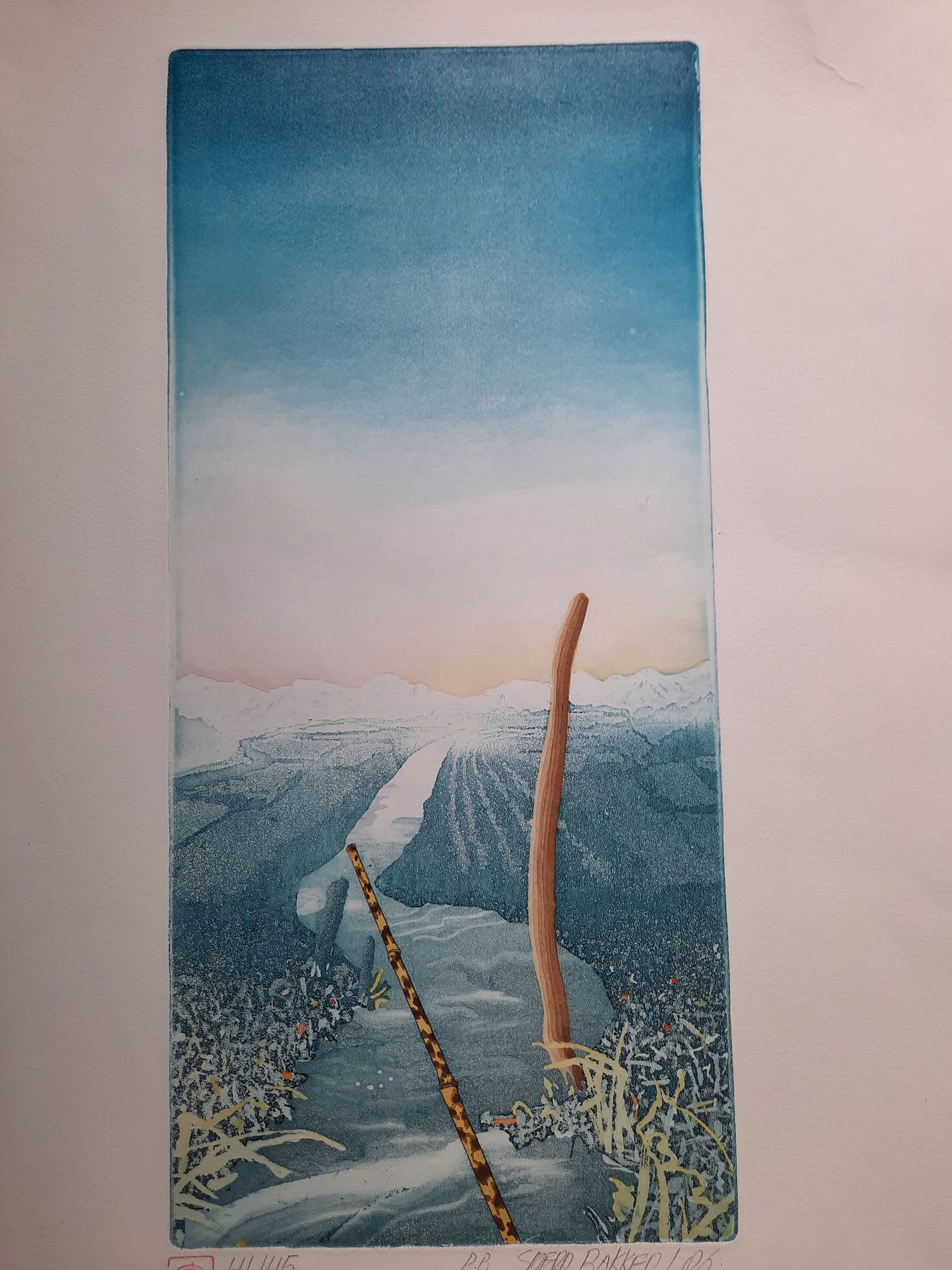 Sjoerd Bakker - onbekend verkocht voor € 50!