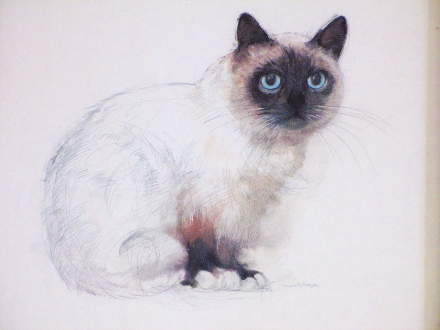 Niet of onleesbaar gesigneerd - Zittende kat - Gemengde techniek kopen? Bied vanaf 1!