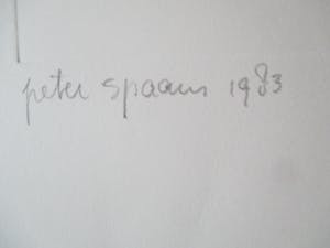 Peter Spaans - ets New York kopen? Bied vanaf 35!