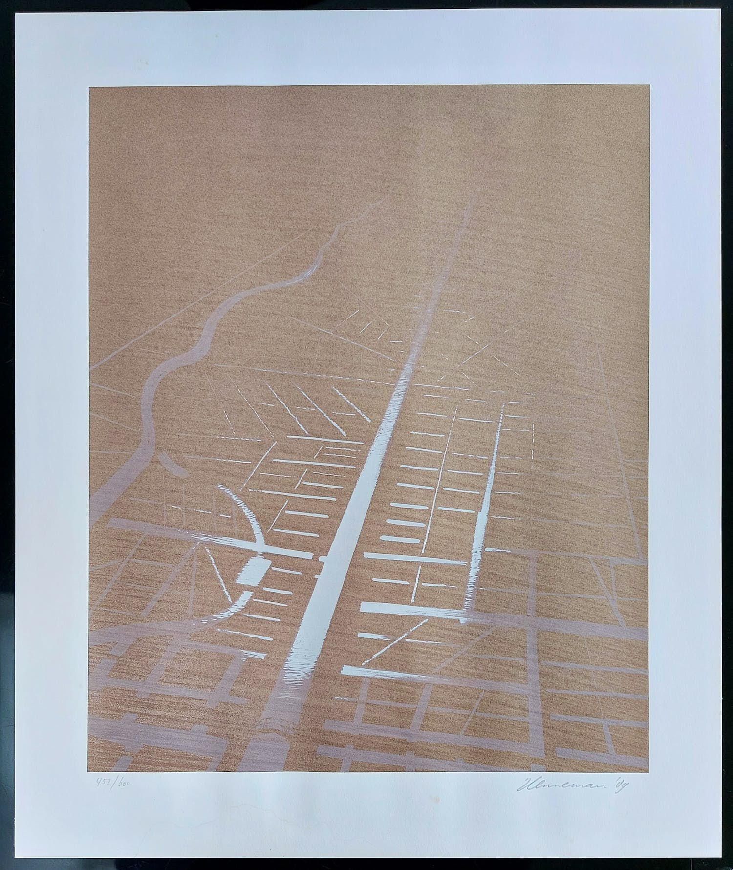 Jeroen Henneman - Land in vogelvlucht verkocht voor € 80!