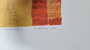 Theodora Plas - Die Zauberflöte 1, 2 en 3 kopen? Bied vanaf 25!