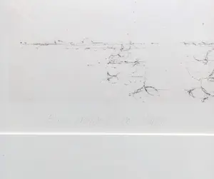 Willem den Ouden - Zon boven de Waal, litho (mooi ingelijst) kopen? Bied vanaf 95!