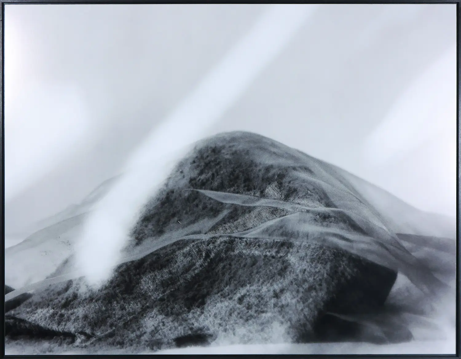 Vivian Ammerlaan (1994)