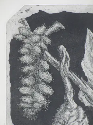 Ko Prange - Bijzondere vegetatie - Ets kopen? Bied vanaf 45!