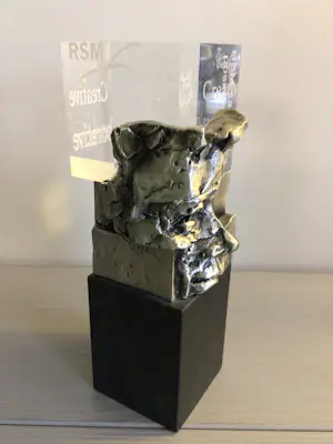 Ad Haring - Sculptuur / Afstudeer plaat Erasmus Universiteit . kopen? Bied vanaf 89!