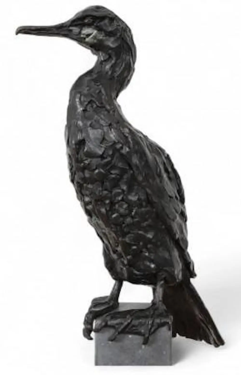 Jacqueline van der Laan (1948)