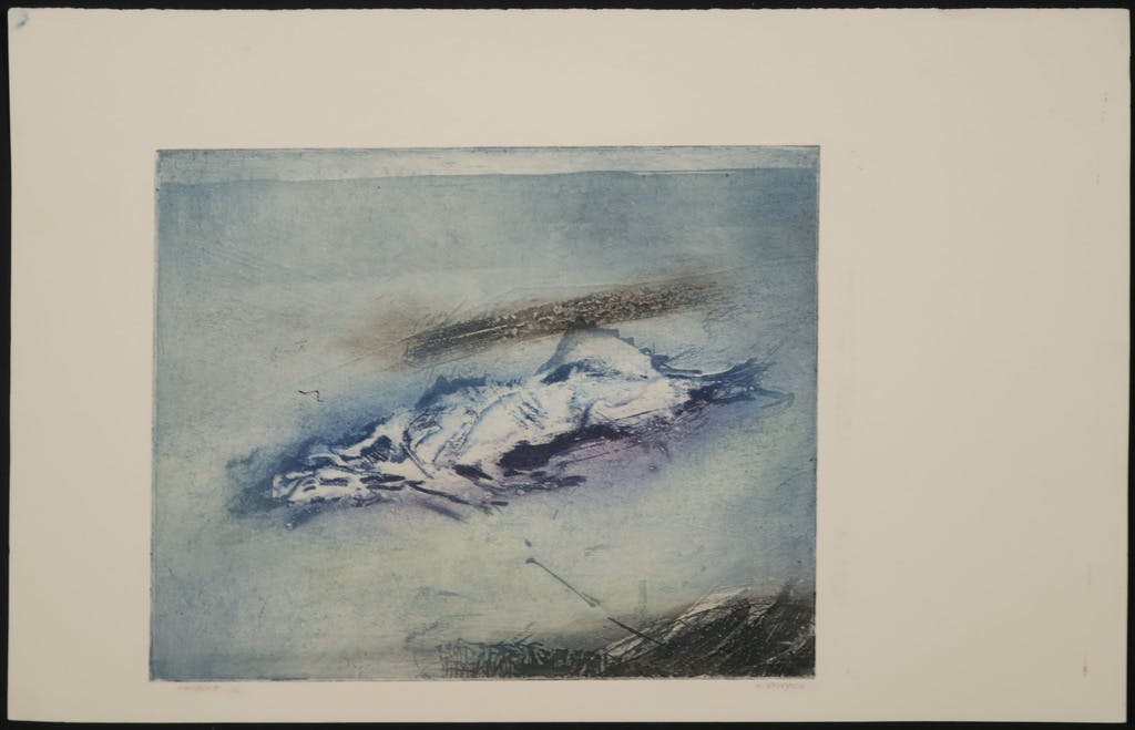 Henk Vierveijzer - Henk Vierveijzer: Ets en Aquatint, Kadaver kopen? Bied vanaf 20!